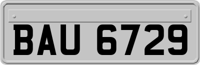 BAU6729