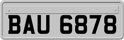 BAU6878