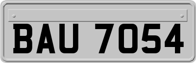 BAU7054