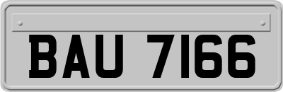 BAU7166
