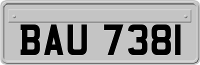 BAU7381