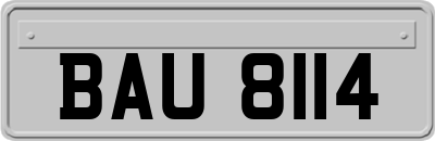 BAU8114