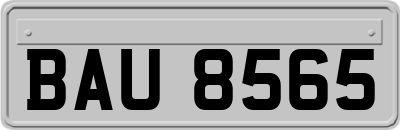 BAU8565