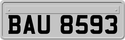 BAU8593