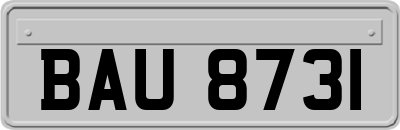 BAU8731