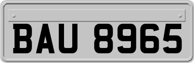 BAU8965