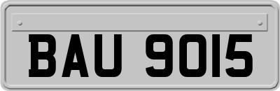 BAU9015
