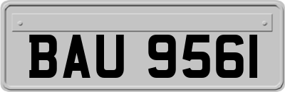 BAU9561