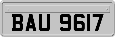BAU9617
