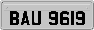 BAU9619
