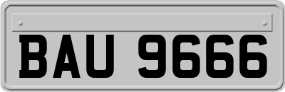 BAU9666