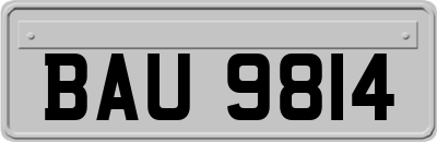 BAU9814