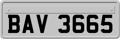 BAV3665