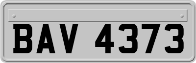 BAV4373