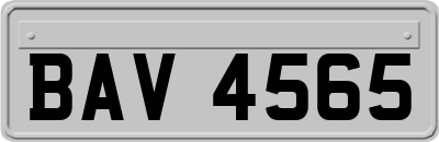 BAV4565