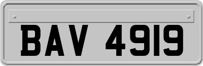 BAV4919