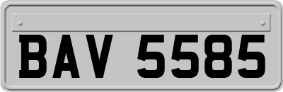 BAV5585