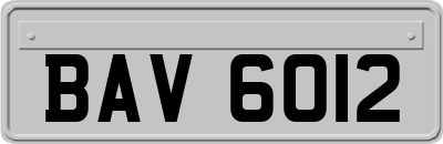 BAV6012