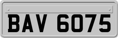 BAV6075