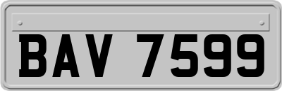 BAV7599