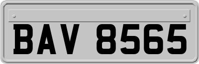 BAV8565