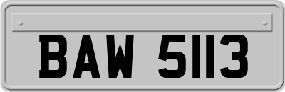 BAW5113