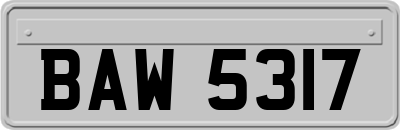 BAW5317