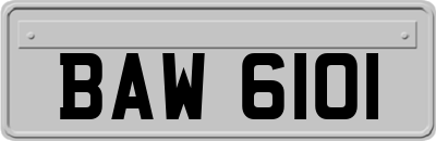 BAW6101