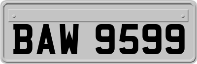BAW9599