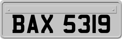 BAX5319