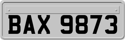 BAX9873