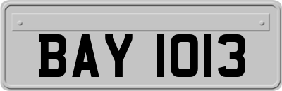 BAY1013