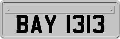 BAY1313