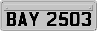BAY2503