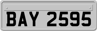 BAY2595