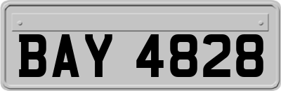 BAY4828