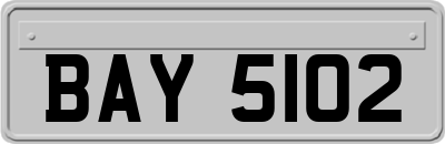 BAY5102