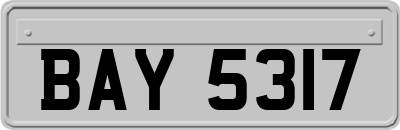 BAY5317
