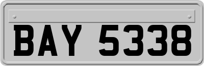 BAY5338