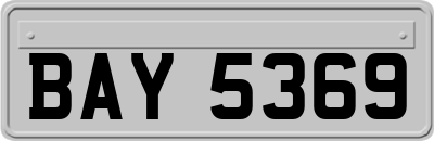 BAY5369