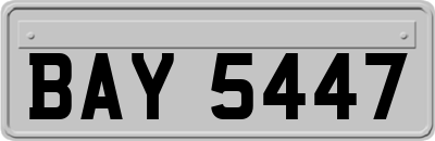 BAY5447