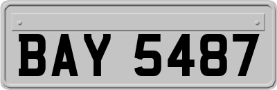 BAY5487