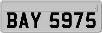 BAY5975
