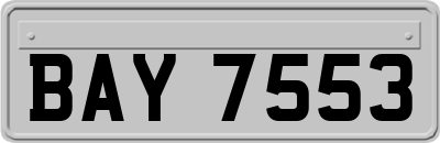 BAY7553