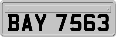 BAY7563