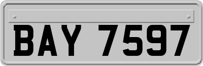 BAY7597