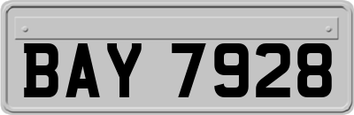 BAY7928