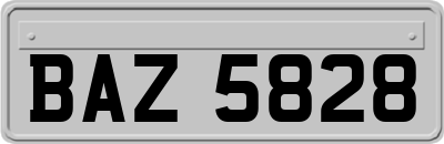 BAZ5828