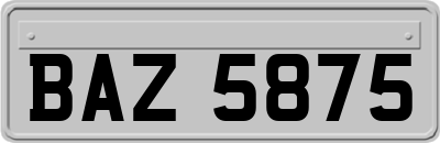 BAZ5875