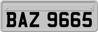 BAZ9665